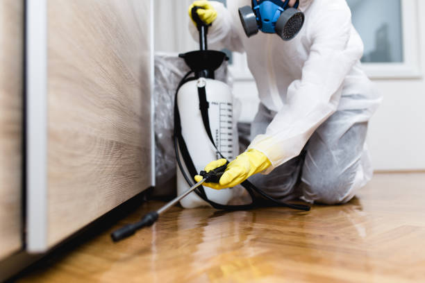 Best Affordable Pest Control Services  in Rogers, AR