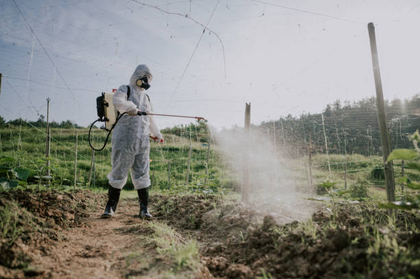 Best Best Pest Control Companies  in Rogers, AR