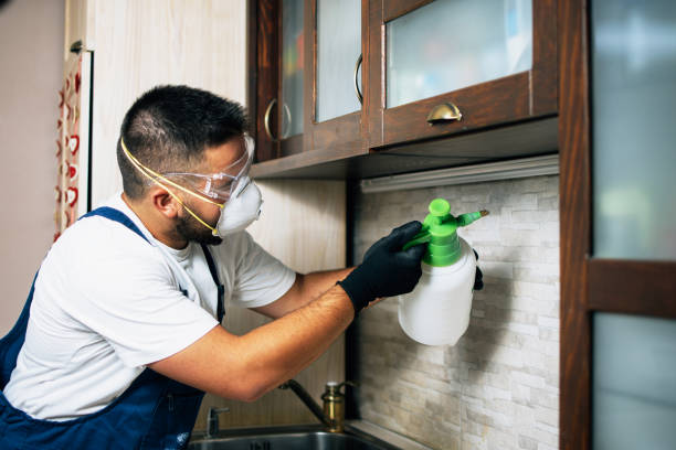 Best Exterminator Services  in Rogers, AR