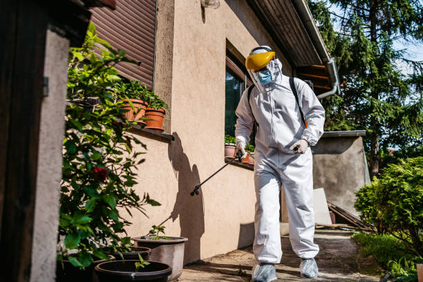 Best Best Pest Control Companies  in Rogers, AR