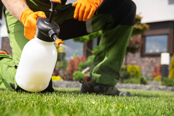 Best Pest Control for Homes  in Rogers, AR