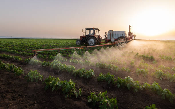 Pest Control Cost in Rogers, AR