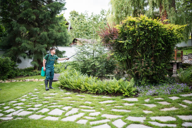Best Affordable Pest Control Services  in Rogers, AR