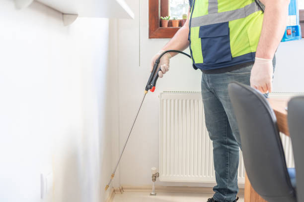 Best Termite Control Services  in Rogers, AR