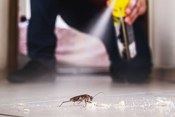 Best Commercial Pest Control Services  in Rogers, AR