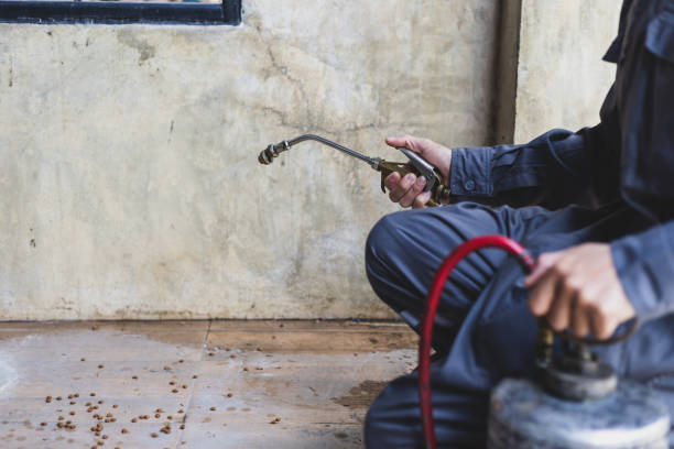 Best Local Pest Control Services  in Rogers, AR