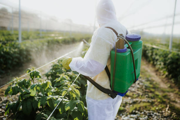 Best Mosquito Control Services  in Rogers, AR